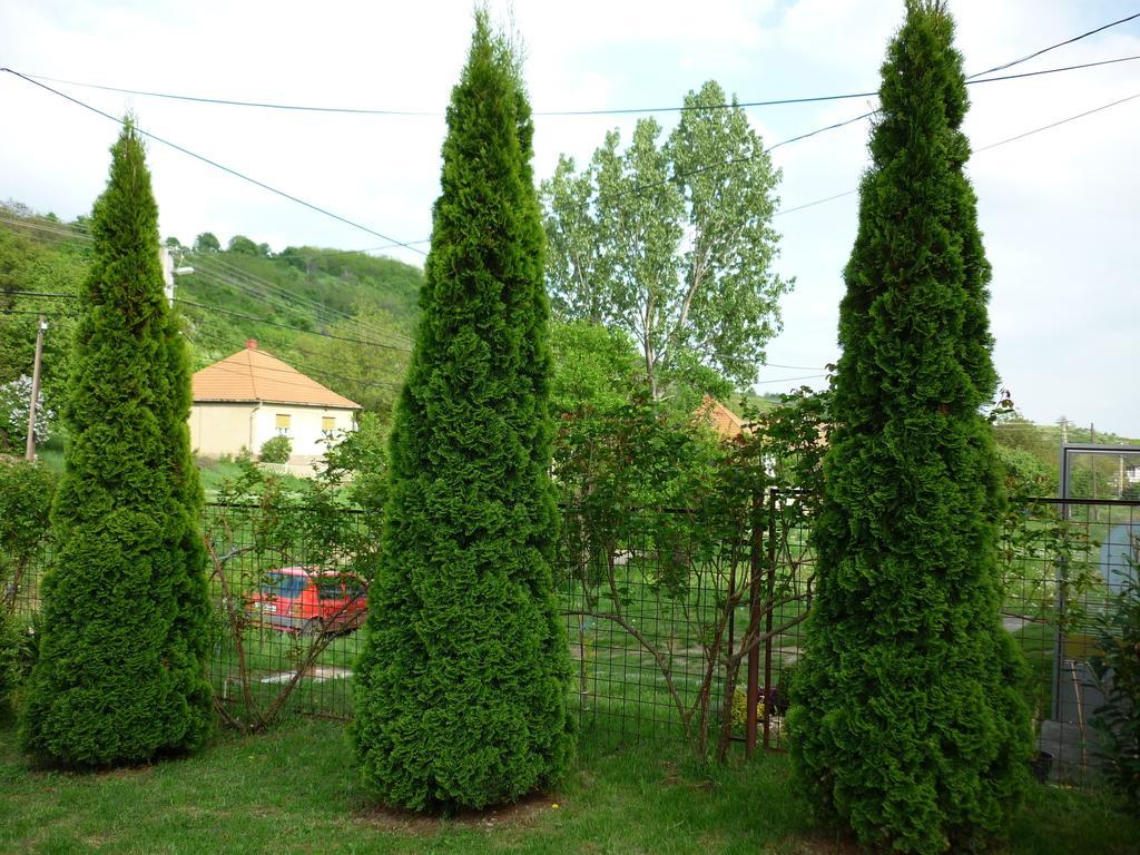 Bükk Vendeghaz Otel Noszvaj Dış mekan fotoğraf